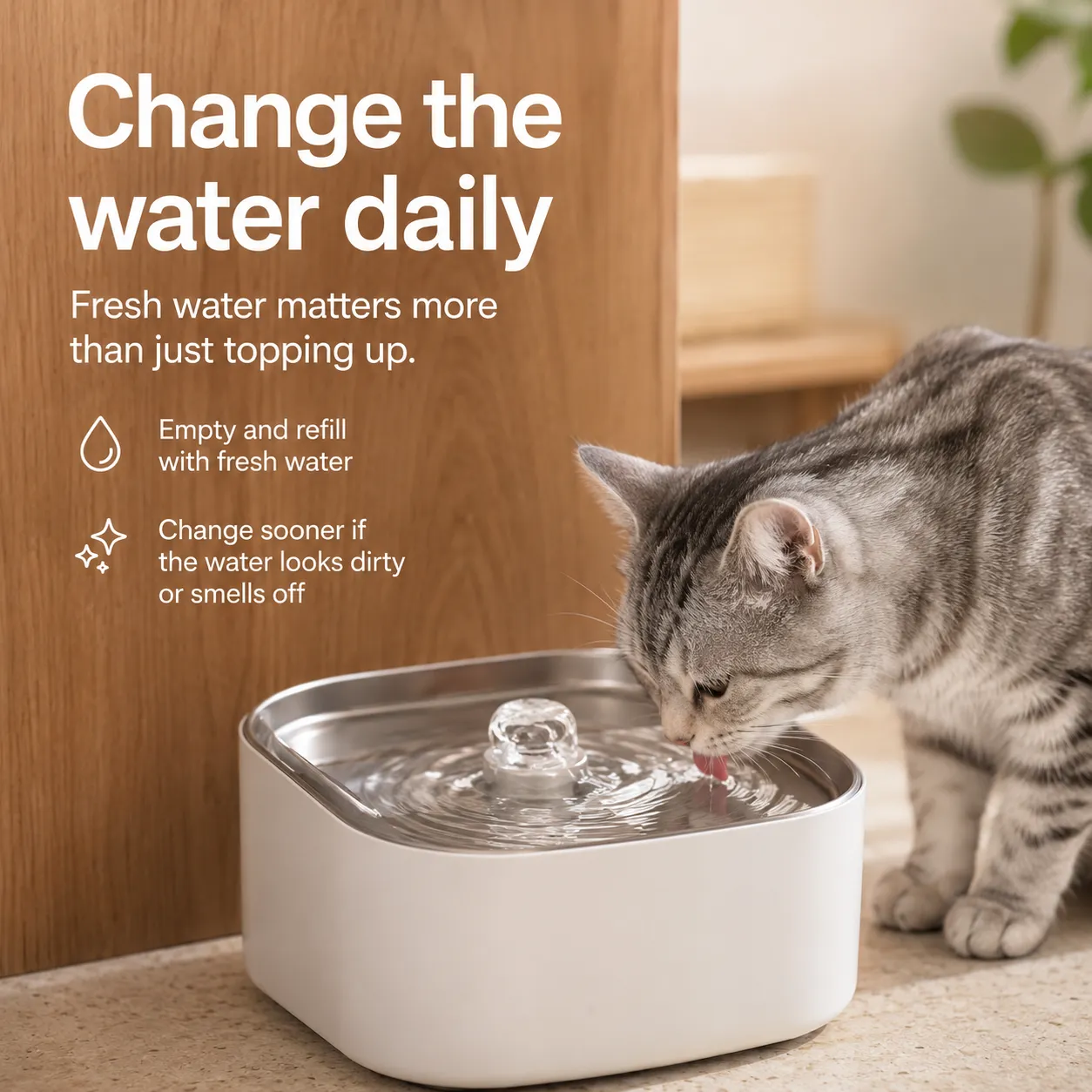 how often change water pet fountain